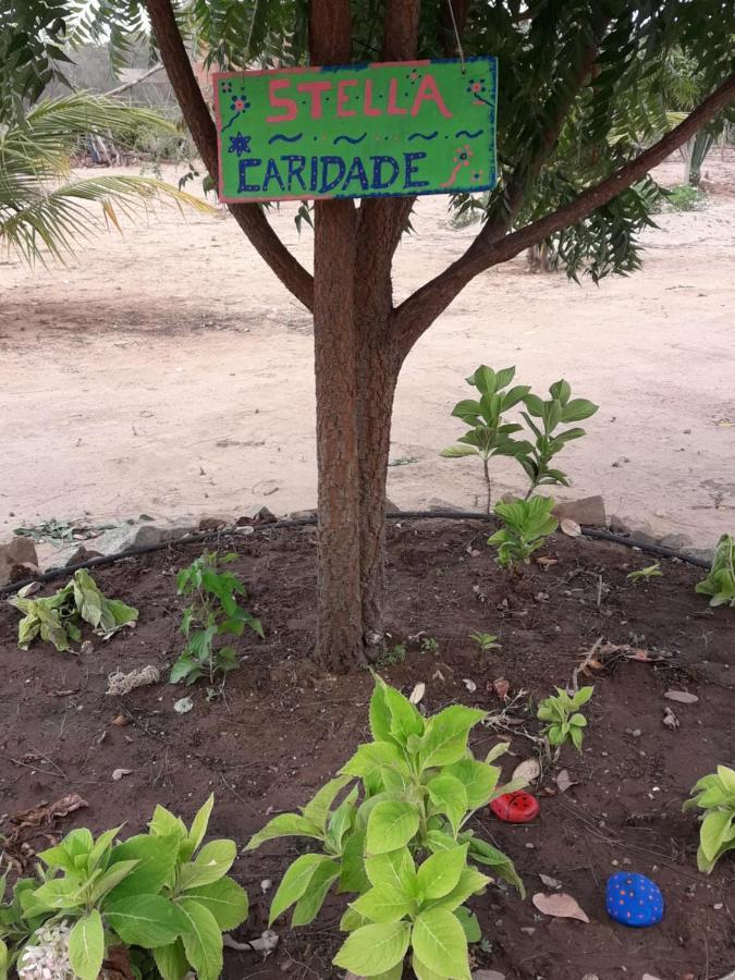Chale Com Vista Privilegiada Pilões de Dentro 외부 사진